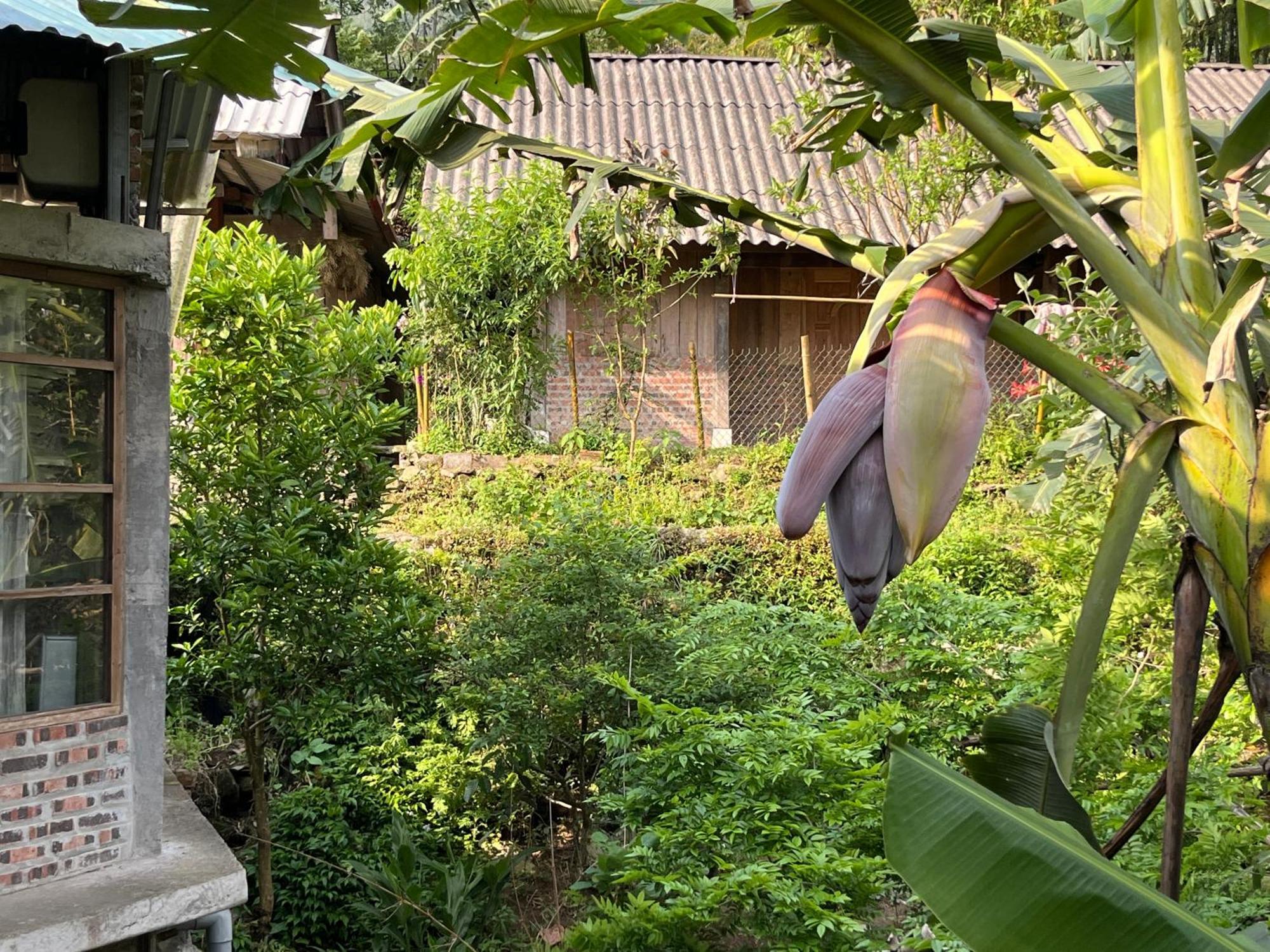 Ya'S House Apartment Sapa Exterior photo